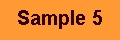 Sample 5